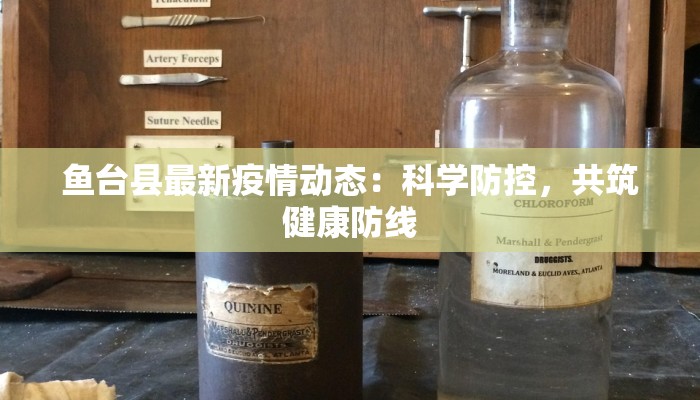 鱼台县最新疫情动态：科学防控，共筑健康防线