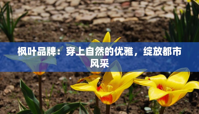 沧州德邦物流快递站点：高效便捷的物流守护者