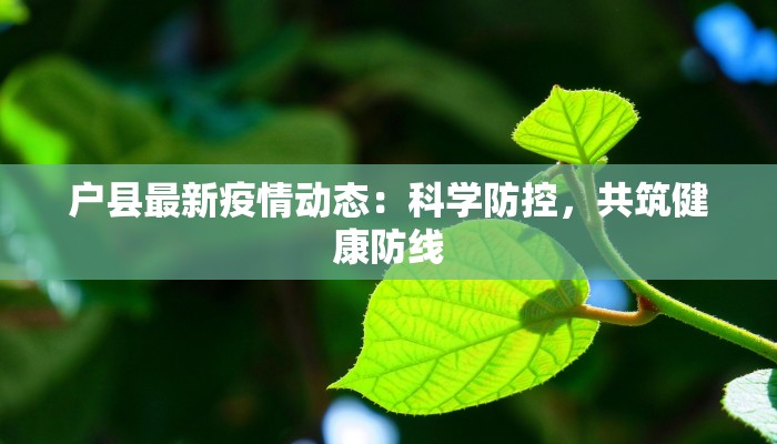 户县最新疫情动态:科学防控,共筑健康防线 户县最新疫情动态:科学防控,共筑健康防线