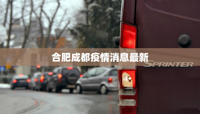 四川省最新防控疫情:守护健康,筑牢安全防线 四川省最新防控疫情:守护健康,筑牢安全防线