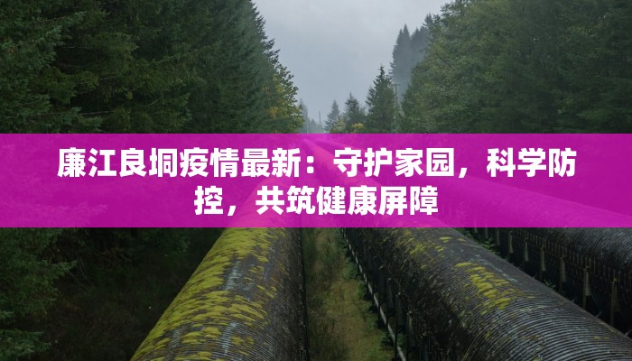 廉江良垌疫情最新：守护家园，科学防控，共筑健康屏障