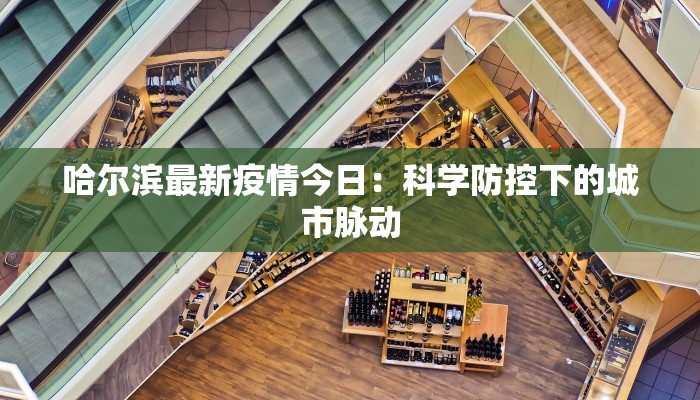 哈尔滨最新疫情今日：科学防控下的城市脉动