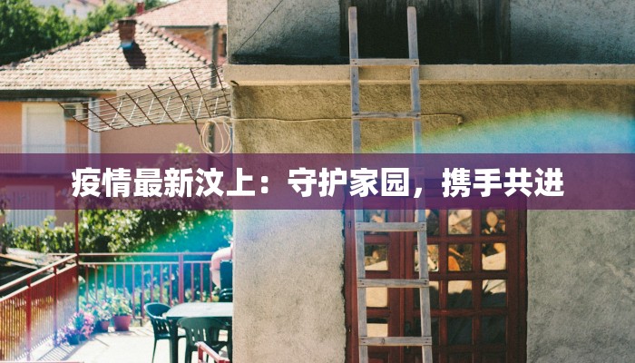 疫情最新汶上:守护家园,携手共进 疫情最新汶上:守护家园,携手共进