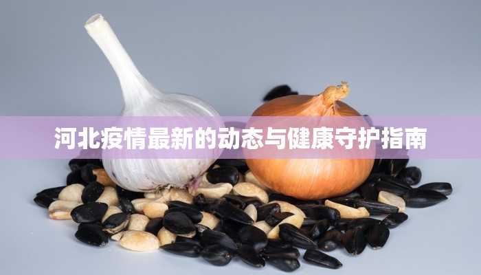 河北疫情最新的动态与健康守护指南 河北疫情最新的动态与健康守护指南