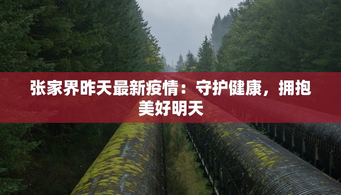 张家界昨天最新疫情:守护健康,拥抱美好明天 张家界昨天最新疫情:守护健康,拥抱美好明天