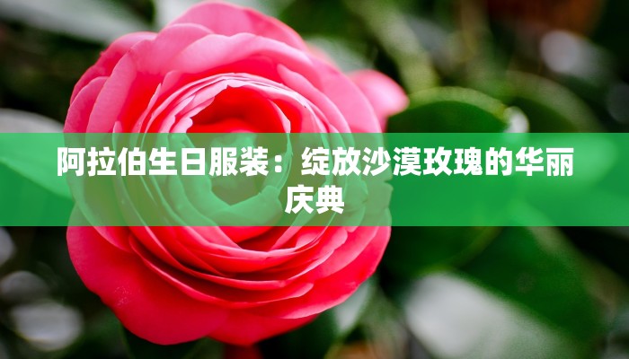 阿拉伯生日服装:绽放沙漠玫瑰的华丽庆典 阿拉伯生日服装:绽放沙漠玫瑰的华丽庆典