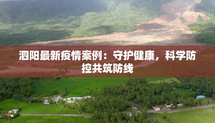 枣强疫情最新消息源:权威指南,守护健康出行 枣强疫情最新消息源:权威指南,守护健康出行